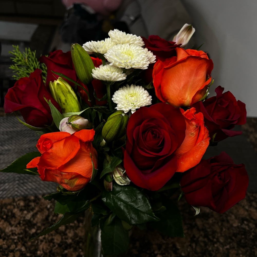 Meet your Posher, Antonio